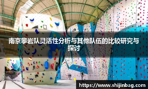 南京攀岩队灵活性分析与其他队伍的比较研究与探讨