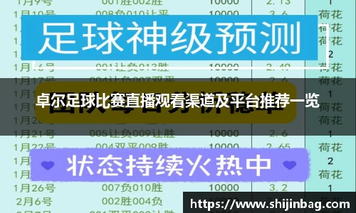乐虎
